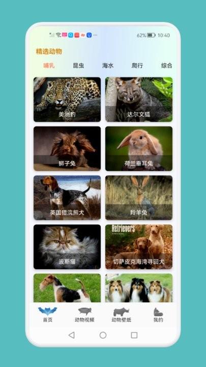 动物吧百科知识平台下载,动物吧,动物百科app